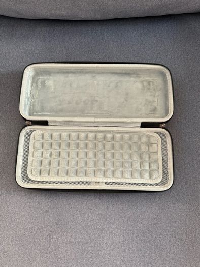 Rog Ally case