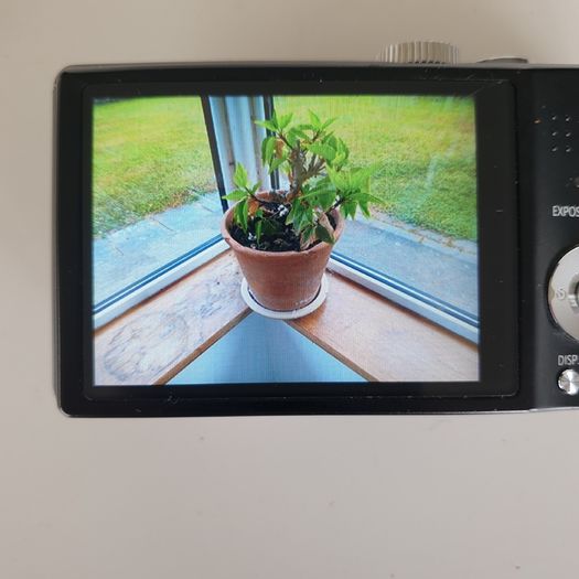 Panasonic Lumix ZS15 digital camera working