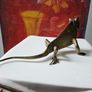 Vintage brass  Lizard Image 6