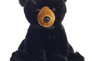 Black Bear