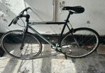 Fixed gear bike