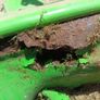 lawnmower Image 5