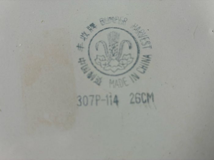 Vintage enamel plate
