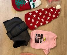 puppy sweater