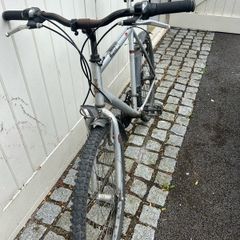 Mens Bicycle