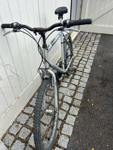Mens Bicycle