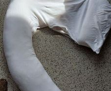 Dreamgenii Pregnancy Pillow