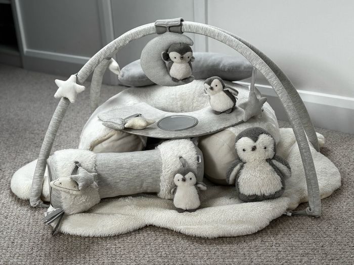 Wish Upon a Cloud Playmat Bundle with Tummy Time Roll, Sit & Play