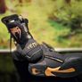 Venum elite performance boxing shoes UK7 Image 9
