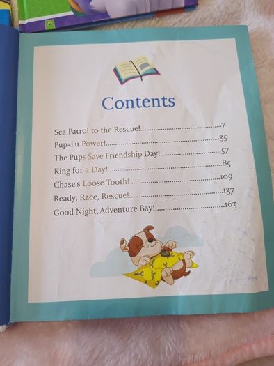 Paw patrol books in good condition