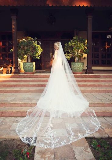 A Line Wedding Dress and Veil