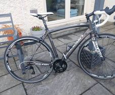 raleigh carbon  bike