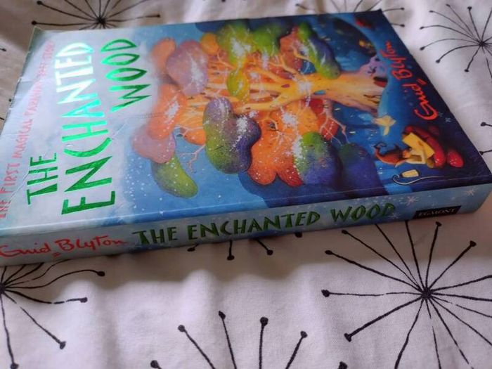 the enchanted wood by Enid Blyton