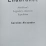 The Endurance Image 5
