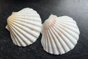 2 Shells