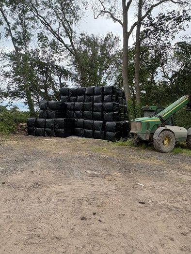 June Irish Hay&Haylage