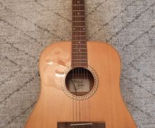 semi acoustic guitar (fishman pickup isys+)