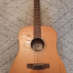 semi acoustic guitar (fishman pickup isys+)