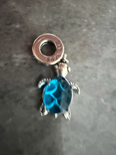 Pandora Turtle