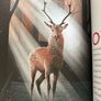 Gods Don't Cry Image 4