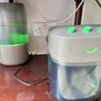 Reptile tank Image 5