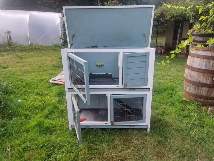 Rabbit / Guinea Pig Hutch