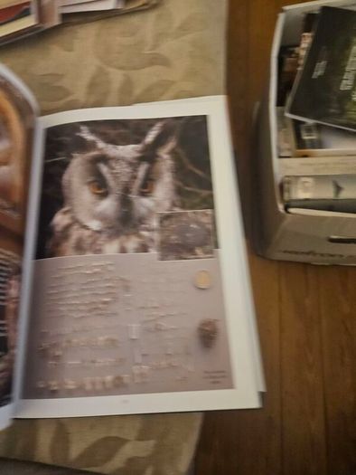 Wexford's Wild Heritage. By Alan Maguire- Christopher J. Wilson- Don Conroy. First Edition Large Volume Hardback With Dustjacket In Good Condition.  See Photos For Same.