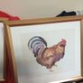 Annabel Fairfax framed print, rooster Image 4