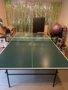 Table Tennis Table