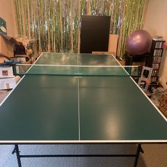 Table Tennis Table