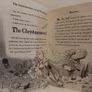 The Christmasaurus and the Winter Witch by Tom Fletcher HARDBACK BOOK Image 7