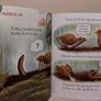 Diary Of A Worm Storybook Image 4