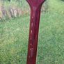SX EAG1K Eletro-Acoustic Guitar Image 8