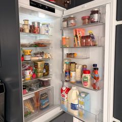 electrolux fridge freezer
