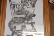 Cat picture