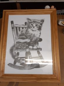Cat picture