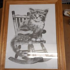 Cat picture