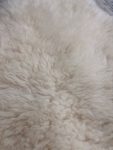 Authentic sheepskin rug large