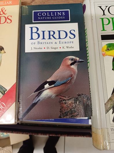 Books on garden birds