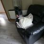 furniture Image 2