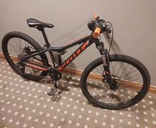 scott scale 24