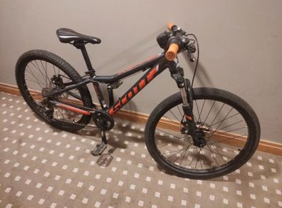 scott scale 24