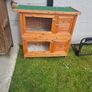 rabbit Image 2