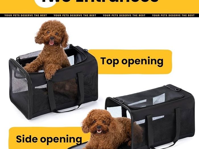 Pet carrier bag 31cm x 51cm x 31cm