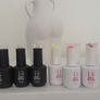 shellac Image 3