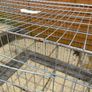 Dog Crate - Large Foldable Image 4