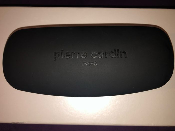 Pierre Cardin hard case sunglasses