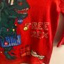 Christmas dinosaur top (age 3-4) Image 4
