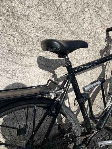 Adult Bike