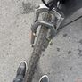 bike Image 3